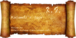Kalamár Igor névjegykártya